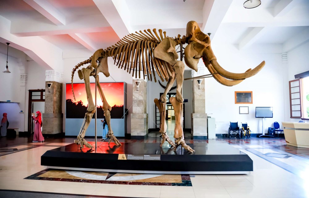Museum Geologi